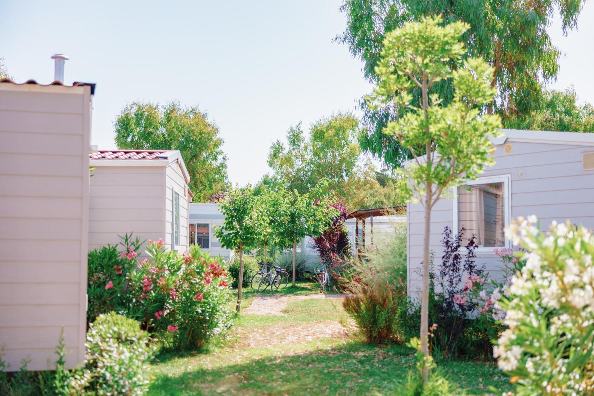 Toscana Bella Camping Village 瓦达 外观 照片